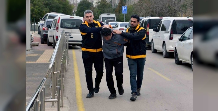 Adana'da kedi ezen sürücüye şok ceza: Hayvan barınağında çalışacak