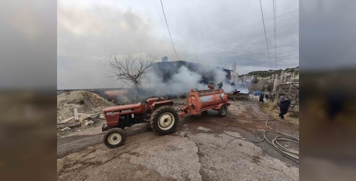 Antalya'da ev yangınında dram: 3 hayvan telef oldu, 1 kişi hastanelik oldu