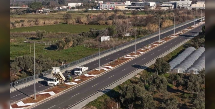 Aydın'da Acarlar-Şehir Hastanesi yoluna peyzaj düzenlemesi yapılıyor