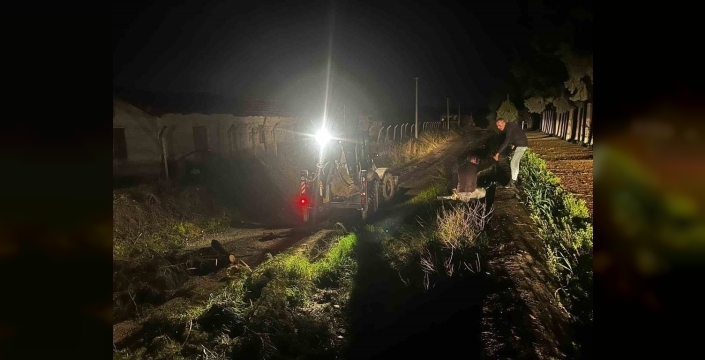 Aydın'da fırtına, mezarlıkta ağaçları devirdi; belediye ekipleri hızlıca müdahale etti