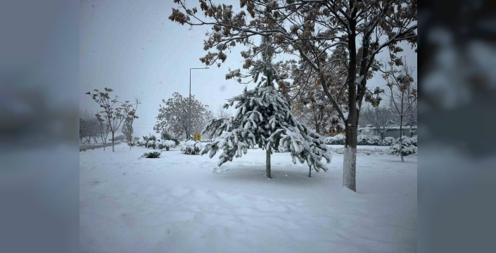 Besni'de kar yağışı, ilçeyi beyaz örtüyle kapladı