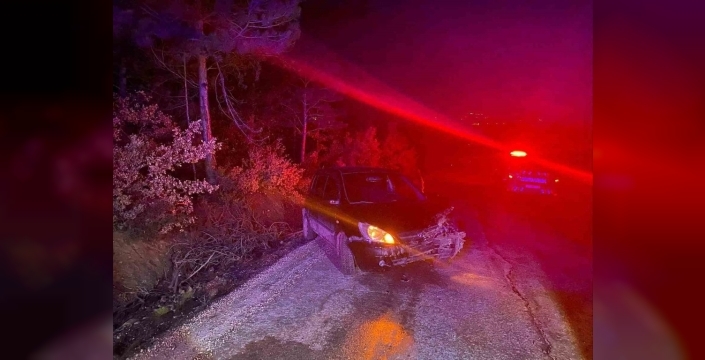 Bilecik'te otomobil ağaca böyle çarptı: 1 kişi yaralandı