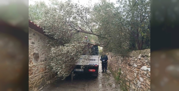 Bodrum'da fırtına ağaçları devirdi ve tekneleri suya gömdü
