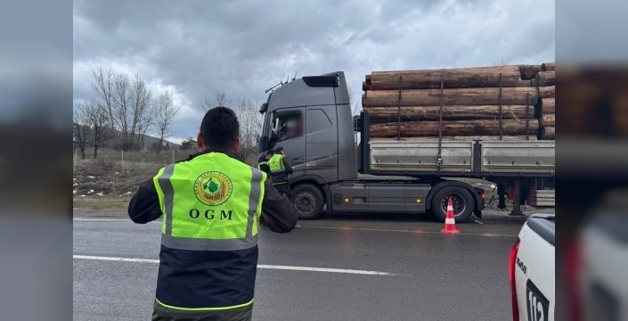 Bolu'da orman emvali taşıyan araçlar tek tek denetlendi