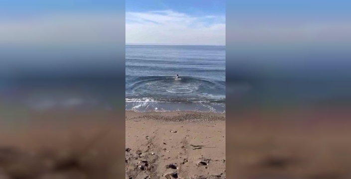 Bursa'da kar yağışına rağmen deniz keyfi sürüyor