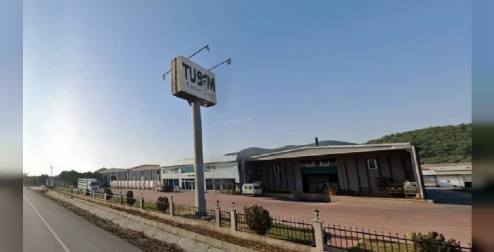 Ege'nin zeytin devi iflasla burun buruna: Mahkemeden 3 aylık kurtarma kararı çıktı!