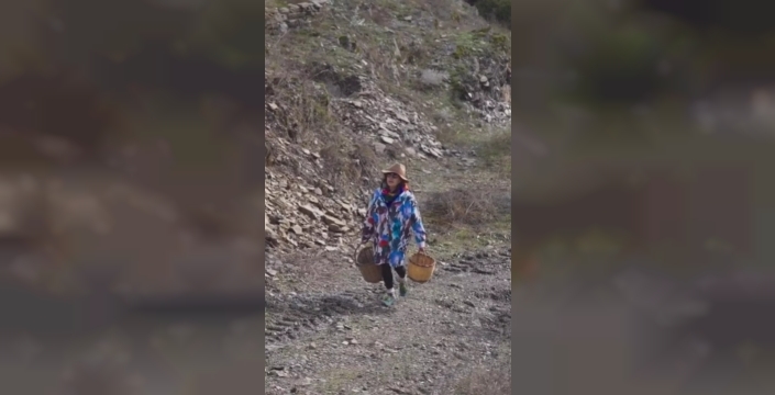 Ekmek Teknesi'nin Mehpare'si, şimdi zeytin tarlalarında bir hayat kurdu