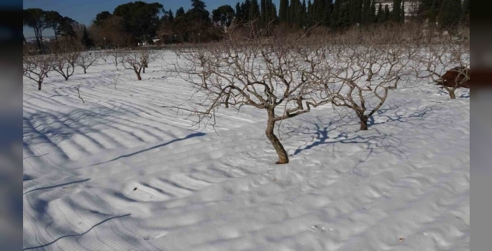 Gaziantep'te kar bereketi: Çiftçinin yüzü güldü, fıstıkta rekolte umudu arttı
