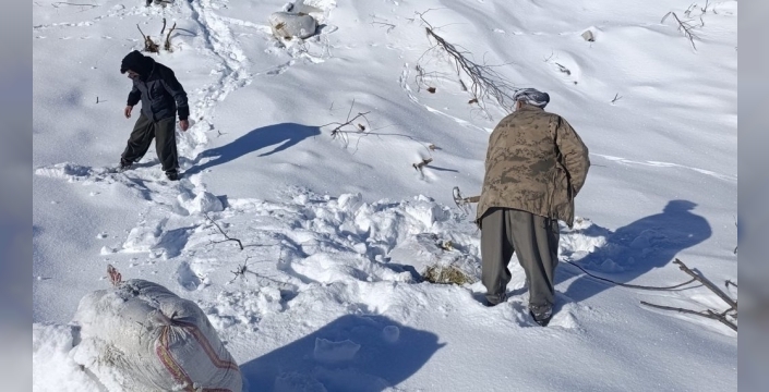 Hakkari'de çığ felaketi: Ahırlar yıkıldı, hayvanlar telef oldu