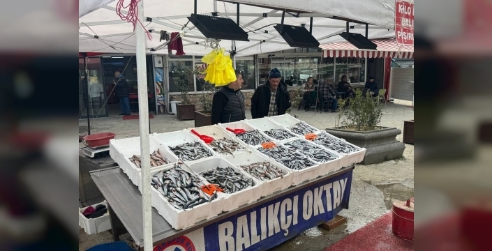 Hamsi tezgahlarda yerini aldı, fiyatı 200 lira