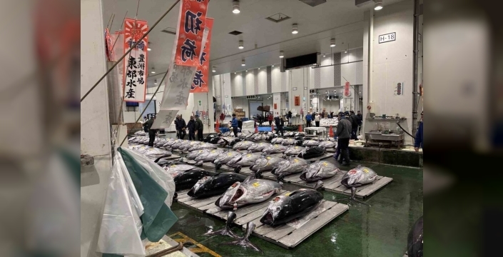 Japonya'da dev orkinos 3,2 milyon dolara satıldı, rekor kırıldı