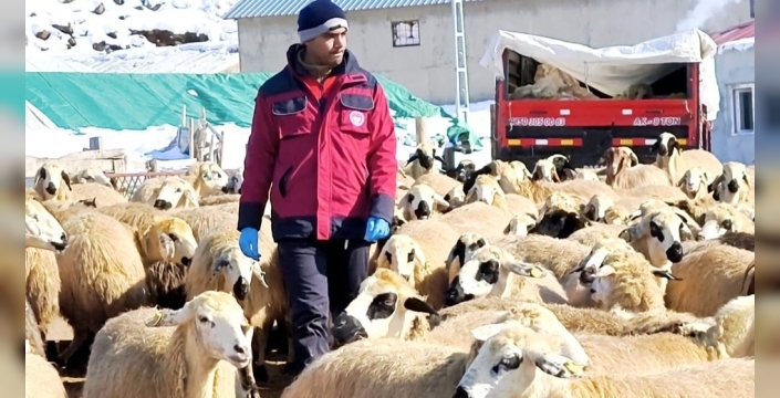 Kar, tipiye rağmen fedakarlık: Beyaz örtüde hayat kurtaran veterinerler!