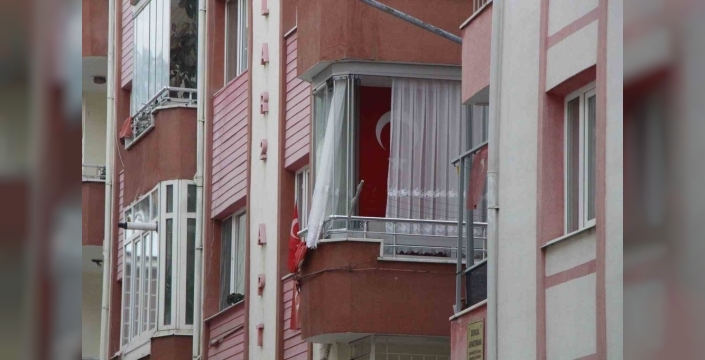 Kış ortasında balkon camını kapatmıyorlar, nedeni çifte kumrular