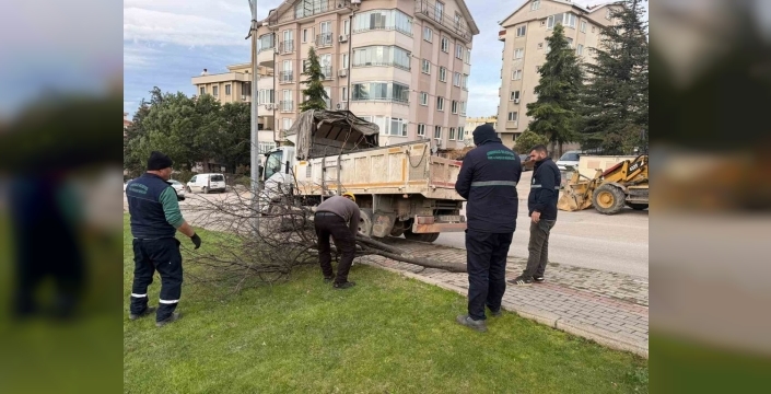 Lodos vurdu, Osmangazi Belediyesi anında devrede!