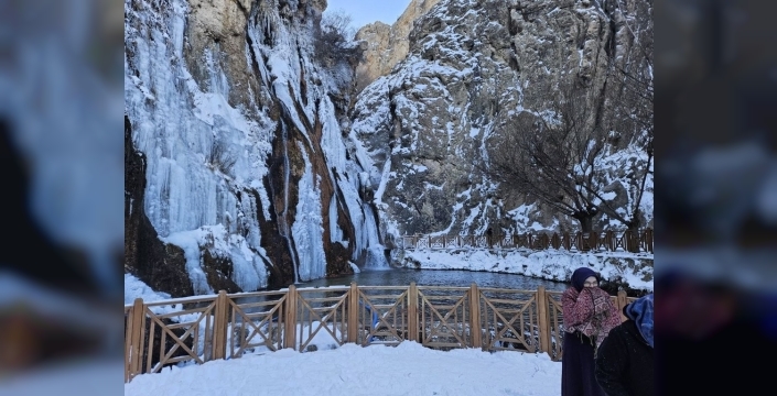 Malatya'da Gürpınar Şelalesi, dondurucu soğukla buz heykeline dönüştü