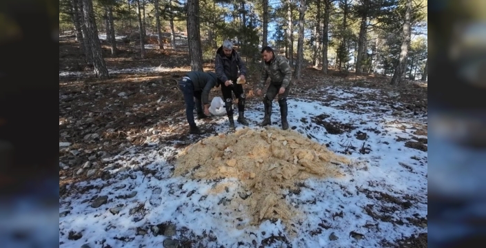 Motosiklet tutkunları, Amanoslar'ın soğuğunda yaban ve sokak hayvanları için seferber oldu
