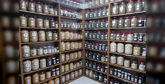 Muğla'dan 3 milyon ata tohumu müjdesi: Yerel tarım geleceğe taşınıyor!