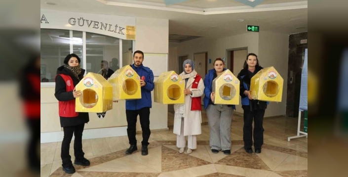 Oltu'da sokak kedileri için sıcacık yuvalar ve sağlık desteği