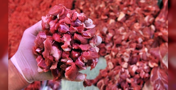 Prof. Dr. Metin Ergun: “Et sofradan kalktı, Türkiye dünyayı solladı”