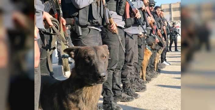 Rakka'da bomba tehlikesi: Özel eğitimli köpeklerle hayati tarama