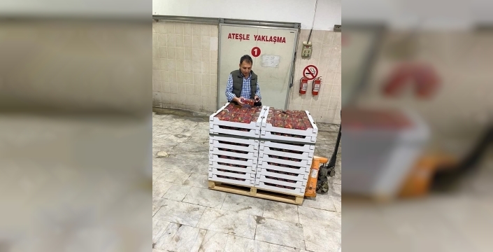 Söke'nin tarım başarısı: 1 yılda 42 ülkeye 49 bin ton ihracat