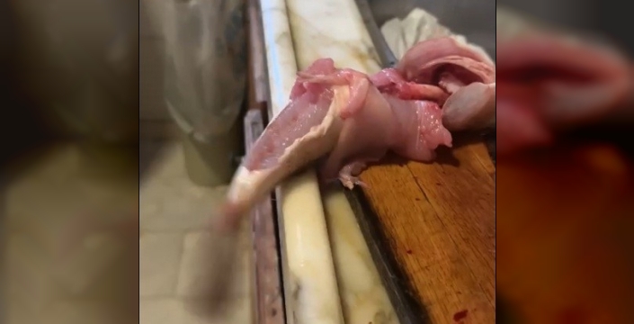 Temizlenen balık, çırpınmaya devam etti!