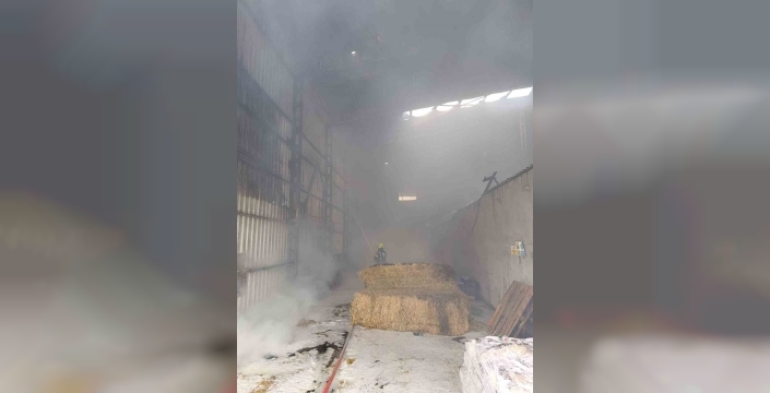 Bandırma'da çiftlik alevlere teslim oldu: Panik dolu anlar!