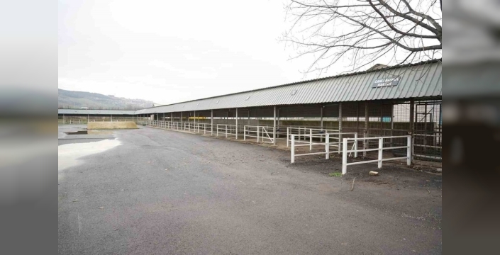 Başkan devreye girdi, 9 aydır kapalı olan canlı hayvan pazarı yeniden açıldı!