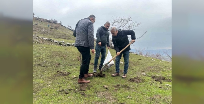 Batman'da doğaseverlerden ağaçlandırma seferberliği