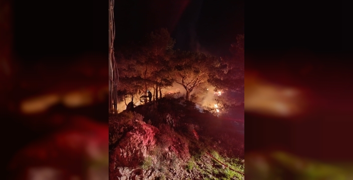 Bodrum'da ormanlık alanda yangın: 2 dönüm zarar gördü