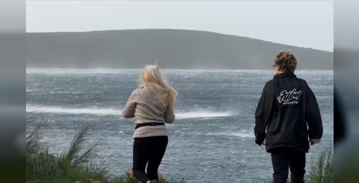 Bodrum fırtınayla sarsıldı: Ağaçlar devrildi, tekneler karaya oturdu