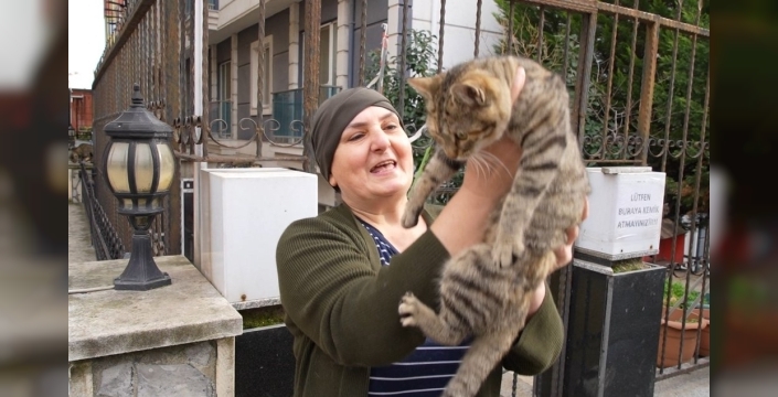 Edirne'de 20 yıldır sokak kedilerine annelik yapan kadın: 'Sadece sevgi istiyorlar