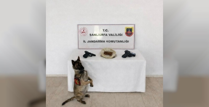 Eyyübiye'de uyuşturucu operasyonu: 1 tutuklama