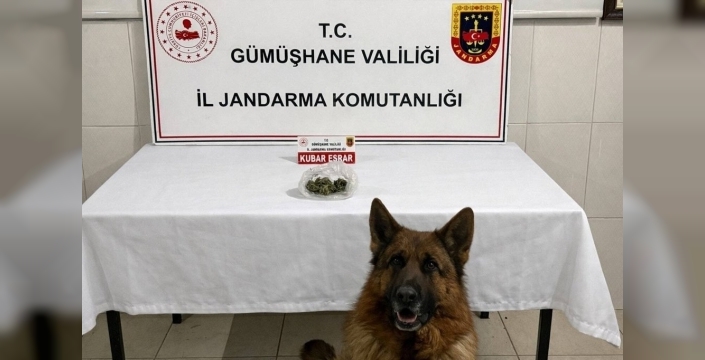 Gümüşhane'de uyuşturucu operasyonu: Araçta 15 gram esrar ele geçirildi