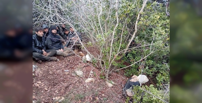 Hatay'da zeytinlik alanda 30 düzensiz göçmen yakalandı
