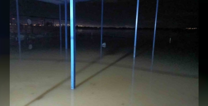 Koçarlı'da su baskını sonrası hayvan tahliye çalışmaları devam ediyor