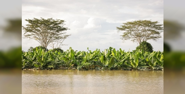 Kolombiya'yı vuran sel felaketinde can kaybı 6'ya yükseldi