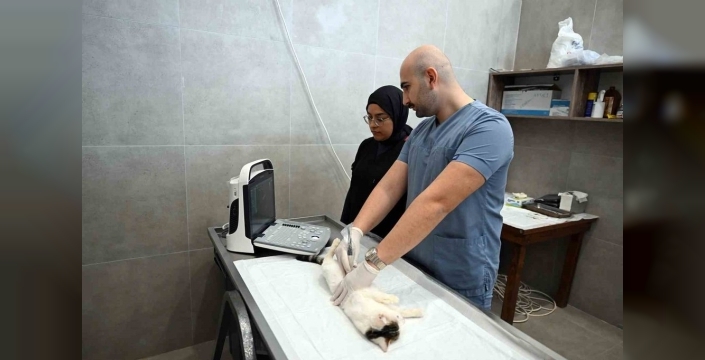 Mersin'de sokak kedilerine destek için yeni kısırlaştırma merkezi açıldı