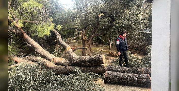 Milas belediyesi: şiddetli fırtınaya anında müdahale