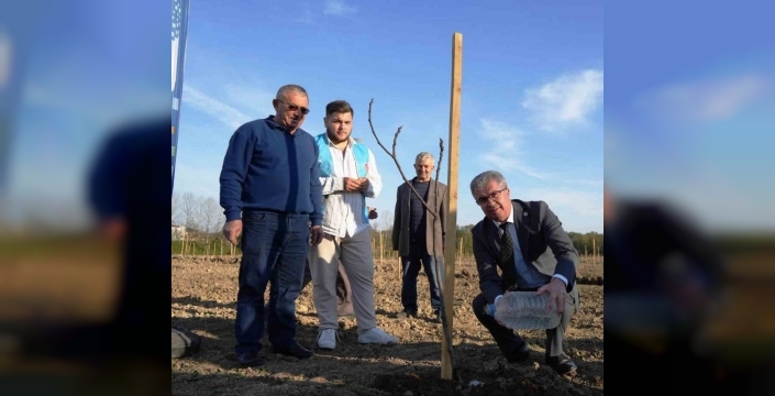 Samsun'daki fidanlar Türkiye'yi yeşertiyor