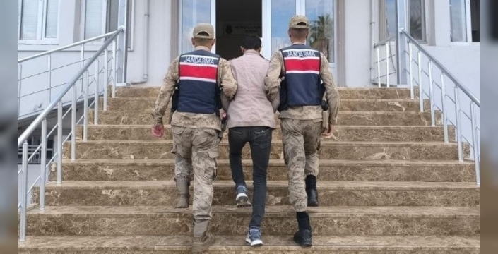 Şanlıurfa'da hırsızlık şüphelisi jandarma tarafından yakalandı
