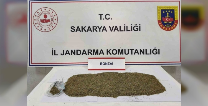 Sapanca'da jandarmadan uyuşturucu baskını: 1 kişi tutuklandı