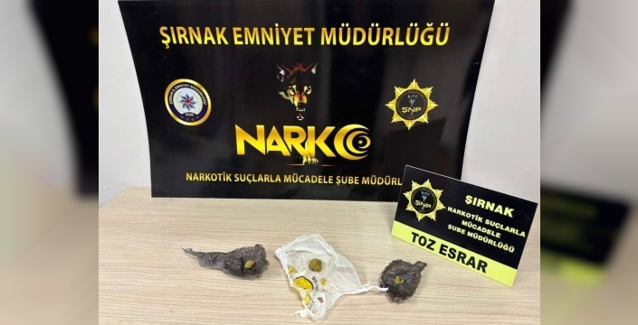 Şırnak'ta düzenlenen operasyonlarda 10 kişi tutuklandı