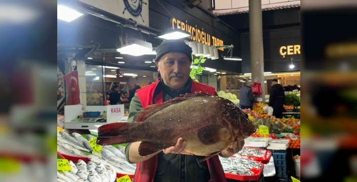 Sivas'ta 7,5 kiloluk dev orfoz balığı tezgahın ağası oldu