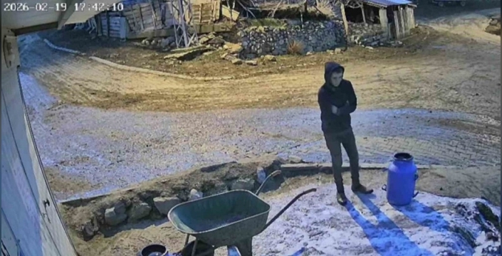 Süt dolu bidonu deviren gencin çaresizliği kamerada!