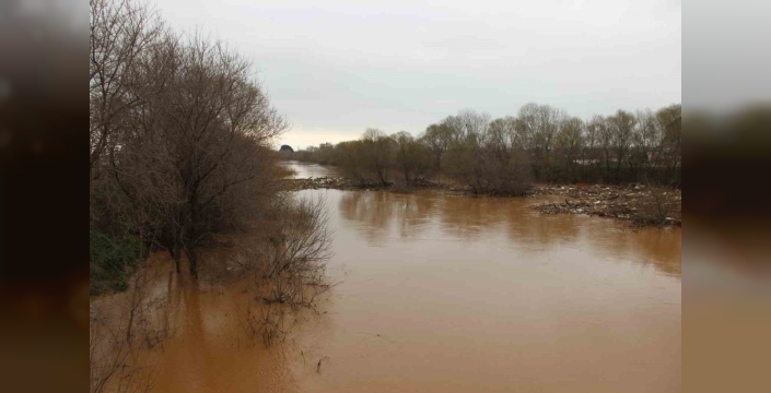 Yağışlar, Manisa'daki çiftçilerin umutlarını yeşarttı