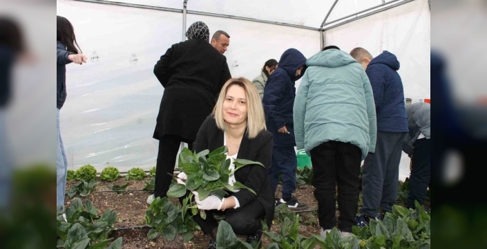 Altıntaş Zafer İlkokulu'nda tarım atölyesinin ilk hasadı ıspanak oldu