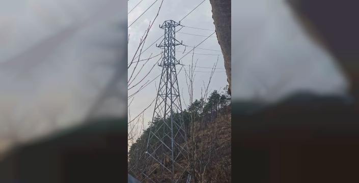Artvin'de vinçle kablo çalan hırsızlar yakalandı
