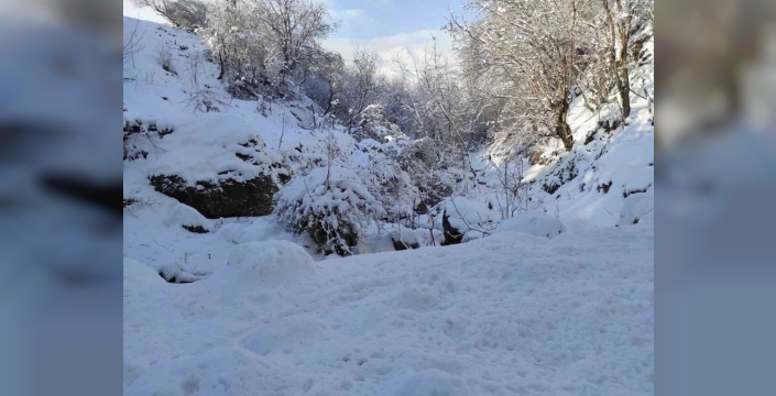 Batman'da mart ayında kar yağışı yaşamı olumsuz etkiledi
