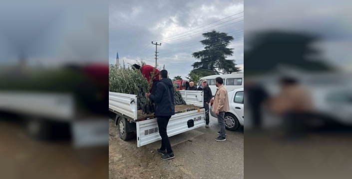 Bayındır'da üreticilere zeytin fidanı desteği sağlandı